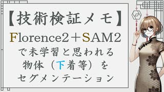 技術検証メモ：Florence2＋SAM2で未学習と思われる物体（下着等）をセグメンテーション