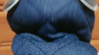 自業自得