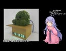 卓上挨拶ロボを作ってみた【ディアちゃんの自由研究①】