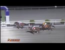 2024年9月8日高知競馬9R 隊長・その他協賛 第１７回嫉妬の夏特別(C1-2組) ボマイェ