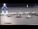 2024年9月15日高知競馬10R ＪＢＣ２０２４佐賀・門別まであと５０日 舟入川特別(B-1組) マイネルシトラス