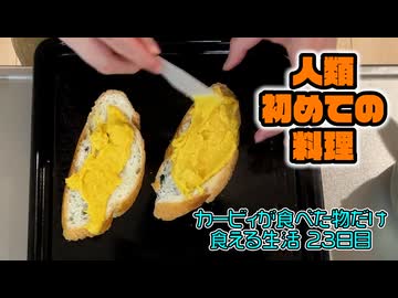 カービィが食べたものしか現実で食べられない生活 23日目(現実ご飯編)【星のカービィ ディスカバリー】