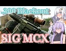 【EFT】# 242　店売り弾薬の中で最高性能な.300 Blackout CBJ弾はいかがでしょう！？【タルコフ/紲星あかり】