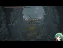 【ELDEN RING】影の地を技量戦士で堪能していく＃33【VOICEROID実況プレイ】