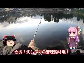 琴葉姉妹と行く釣行記録（釣り堀編part26）