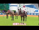 バーチャル中山競馬場に行ってきた！
