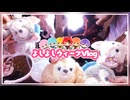 【カメラ】ディズニーにBBQに海外旅行！1週間遊びまくりのよしよしウィークが楽しすぎたWWW【すとぷり_騎士A_アンプタック_めておら】