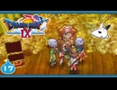 【DQ9＊実況】全力で守るために初見で大冒険！第十七章