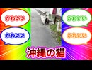とりとめもない脊髄編集