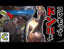 みんなの期待を背負い推薦されたハンター。偶然居合わせたクルルヤックの必殺コンボで散る。【モンスターハンターワールド：アイスボーン（ワールド編）】 CCJP むーぽん