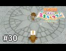 お客さん飲みすぎですよ！【牧場物語 再会のミネラルタウン】# 30
