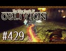 実況 ◇ The Elder Scrolls IV: オブリビオン ◇ 第429幕
