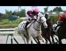 [競馬] ゴージャスの栄光 [新馬戦]