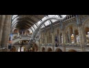 【VRChatワールド紹介】Natural History Museum - Hintze Hall