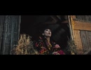 Irina Rimes - Dorul călător