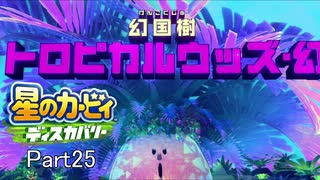 【実況プレイ動画】 はるかぜと共に星のカービィ ディスカバリー　Part25
