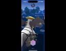 #ポケモンgo #gbl ギラティナ ニョロボン ヨクバリス vs ゴロンダ トドゼルガ ニドクイン #shorts #ハイパーリーグ #pokemon