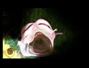 【実況】夜廻三　part10