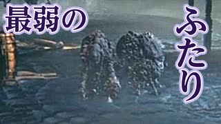 攻撃禁止のBloodborne【part4】(ヘムウィックの魔女編)