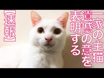 一家の主猫「極めて遺憾だね」