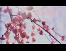 【小春六花】春は語りき【VOICEROID雑談】