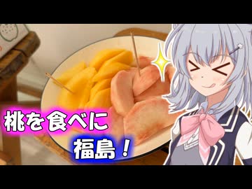 りっかのプチ旅行「食べ比べ！タレカツ丼とソースカツ丼！」【小春六花】