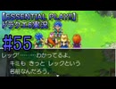 【ESSENTIAL PLAY!!】ドラクエ6実況_55