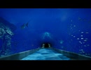 【８月３２日の水族館】抜け出すことのできない変な水族館で異変探し