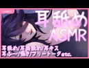 【Youtube配信アーカイブ】 耳舐め・耳奥舐めも！？ しじみ二等兵の『寝落ちラジオ』＃９ 【Vtuber】