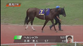 農林水産大臣賞典 第47回建依別賞 パドック～本馬場入場