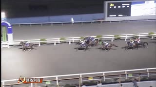 農林水産大臣賞典 第47回建依別賞 ヘルシャフト