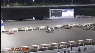 2024年9月16日高知競馬11R A-2組 グレートヒエン
