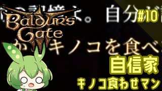 【バルダーズ・ゲート3】自信家通しプレイ Vol.10【ずんだもん】