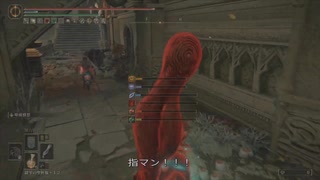 エルデンリング TMCターニッシュドメイクライ侵入Part 191