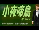 【TONIO】差夜鳴き鳥【カバー曲】