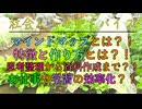 マインドマップとは？！特徴と作り方とは？！思考整理から資料作成まで？！お仕事や学習の効率化？！