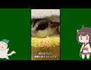 【 #フクロモモンガ 】爪とかナンデ切るの？！【 #おはモモンガ 】