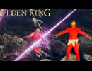 石棺の大穴の連撃レーザーエリアの洗礼を受ける小林 #26 DLC編【ELDEN RING】