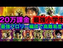 ドッカンバトル 小学4年生が20万課金した　夏の大型cp！最強ブロリーパで最高難易度ミッション初見攻略動画！　