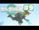 【ぽつぽつ実況 #9】鳥望台【ティアーズオブザキングダム】