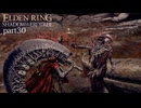 【ELDEN RING Shadow of the Erdtree】発売日から全ボスを倒すまで【実況】 part30