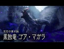 【MHRS】会長が災厄の黒き蝕ゴア・マガラを攻略実況