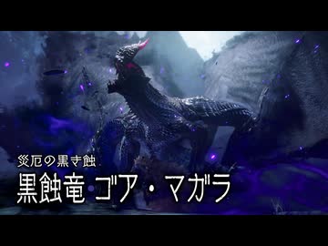 【MHRS】会長が災厄の黒き蝕ゴア・マガラを攻略実況