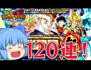 【ゆっくり実況】神引きじゃね？祭り青年悟飯の伝説降臨祭ガチャでまさかの結果に？【天才チルノの珍ドカバト】【ドラゴンボールZ ドッカンバトル】Part1