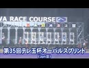 【ウマ娘風】第35回JpnⅢテレ玉杯オーバルスプリント(浦和・2024)
