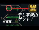 【実況】凄い家を造りたくて【PC版テラリア】Part55