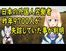 日本の外国人技能実習生、昨年職場から失踪した人数が過去最多の9700人を突破！【世界の〇〇にゅーす】