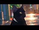 Lo-Fi BGM｜exotic atmosphere｜異国の情緒｜BGM