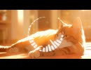 Lo-Fi BGM｜Silence after the rain｜雨上がりの静寂｜BGM