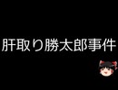 【ゆっくり朗読】ゆっくりさんと日本事件簿 その529